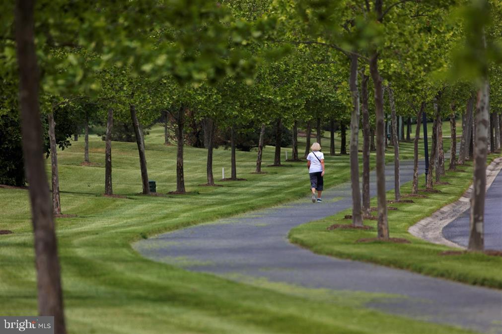 8 Harlequin Loop Bridgeville, DE 19933 - Photo 43 of 66 Walking Trails weave all through the community.