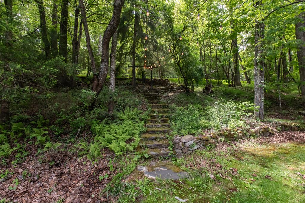 328 Black Ankle Creek Road Cherry Log, GA 30522 - Photo 68 of 103