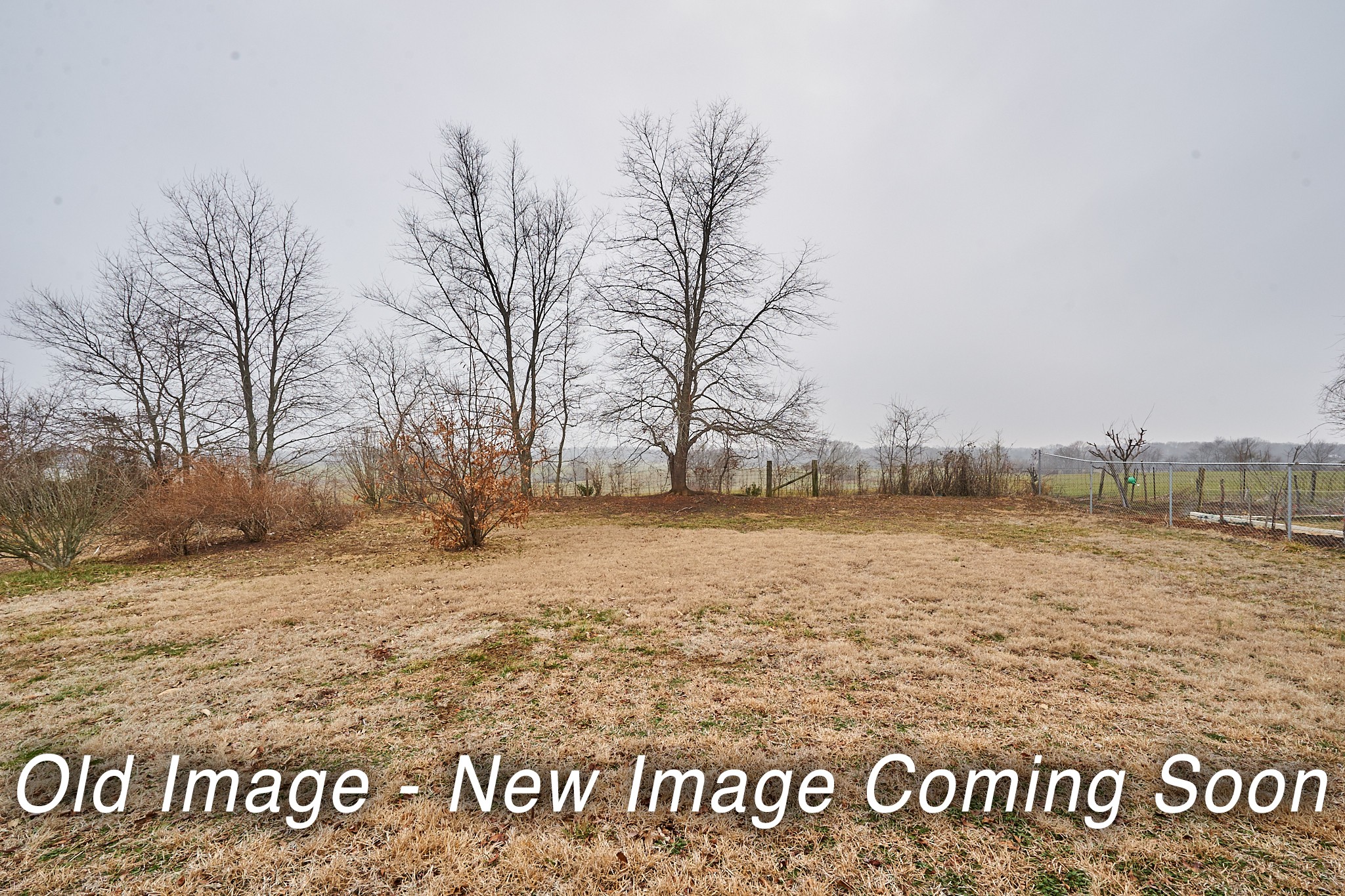 321 Westwind Drive Springfield, TN 37172 - Photo 3 of 12 Gallery Image 3