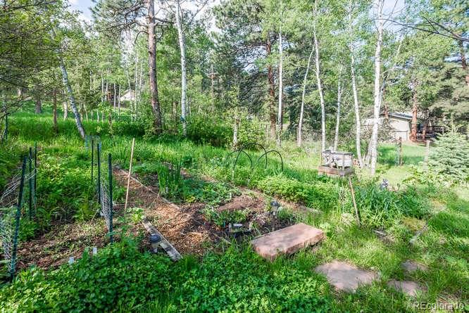29741 Dorothy Road Evergreen, CO 80439 - Photo 20 of 27 Gallery Image 20