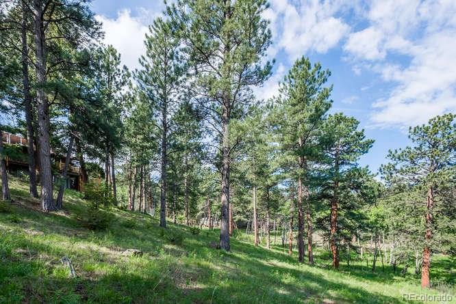 29741 Dorothy Road Evergreen, CO 80439 - Photo 24 of 27 Gallery Image 24