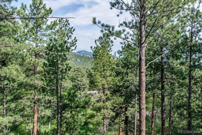29741 Dorothy Road Evergreen, CO 80439 - Photo 27 of 27 Gallery Image 27