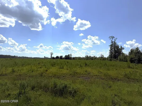 $79,000 | Lot 2 Hwy 71 S Wewahitchka, Wewahitchka, FL 32465