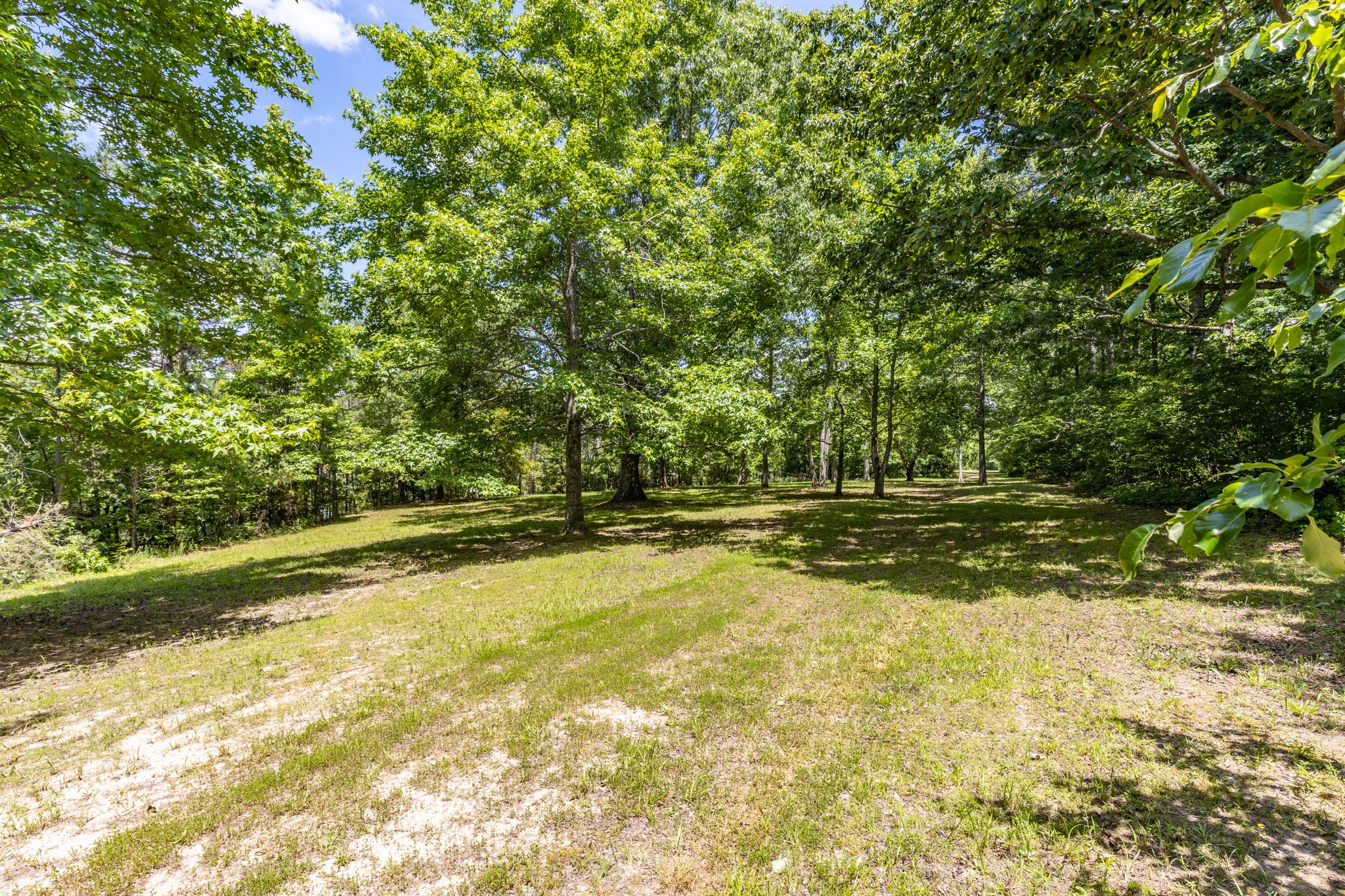 424 Charles McClearen Road Hohenwald, TN 38462 - Photo 43 of 80