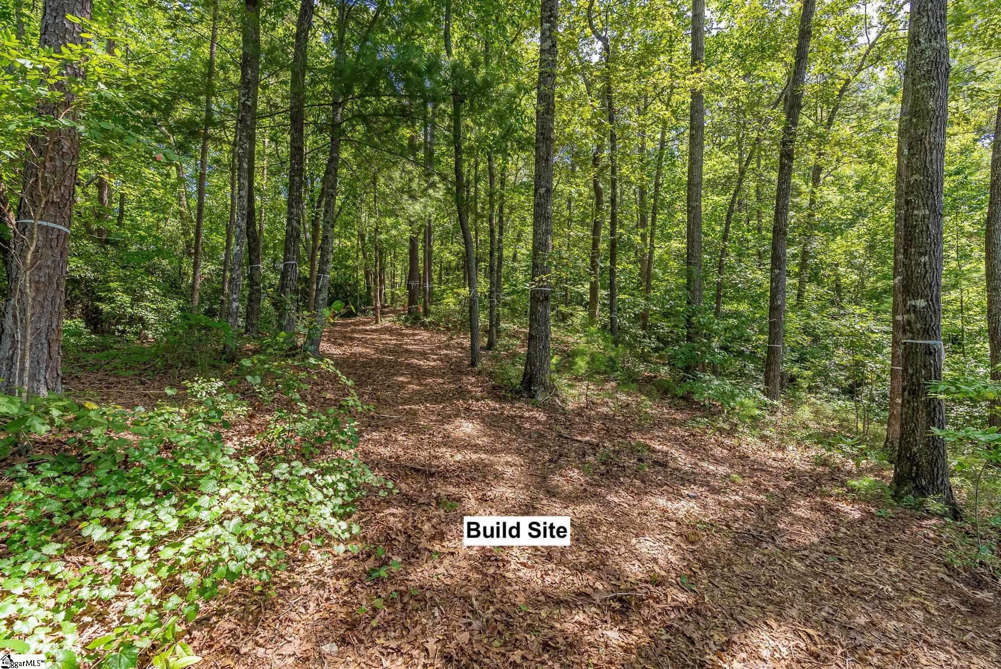 240 Jocassee Point Road, Unit J62 Salem, SC 29676 - Photo 6 of 25