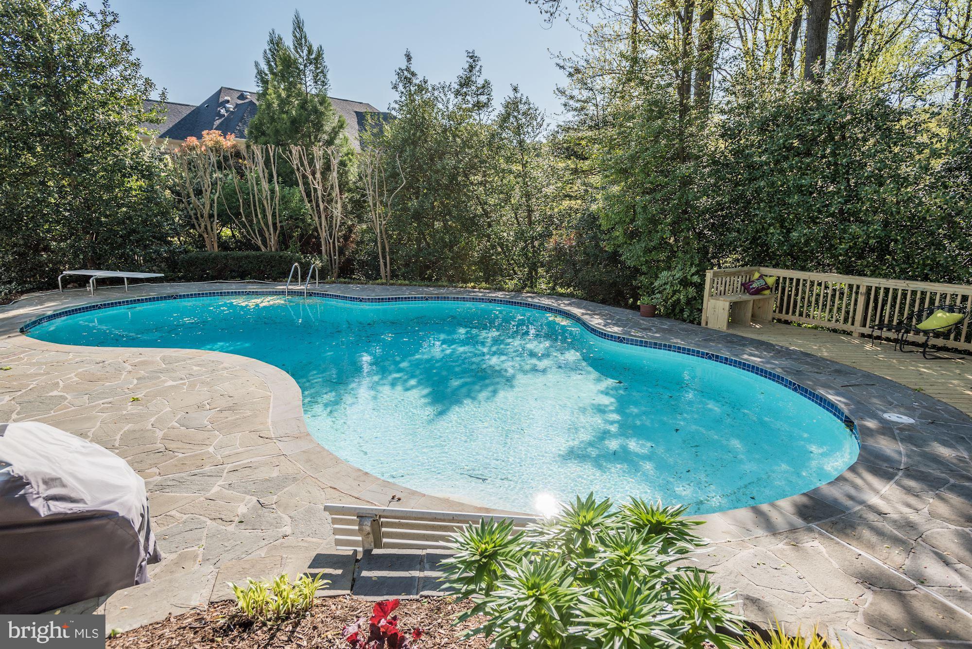 1062 Rector Lane McLean, VA 22102 - Photo 31 of 37 Pool