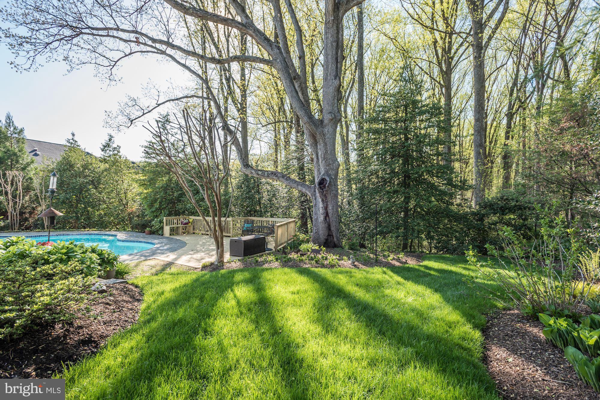 1062 Rector Lane McLean, VA 22102 - Photo 33 of 37 Backyard