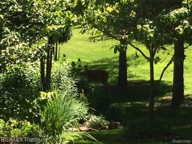 22270 Chubb Road Northville, MI 48167 - Photo 31 of 32 IMG_1744 (1).JPG