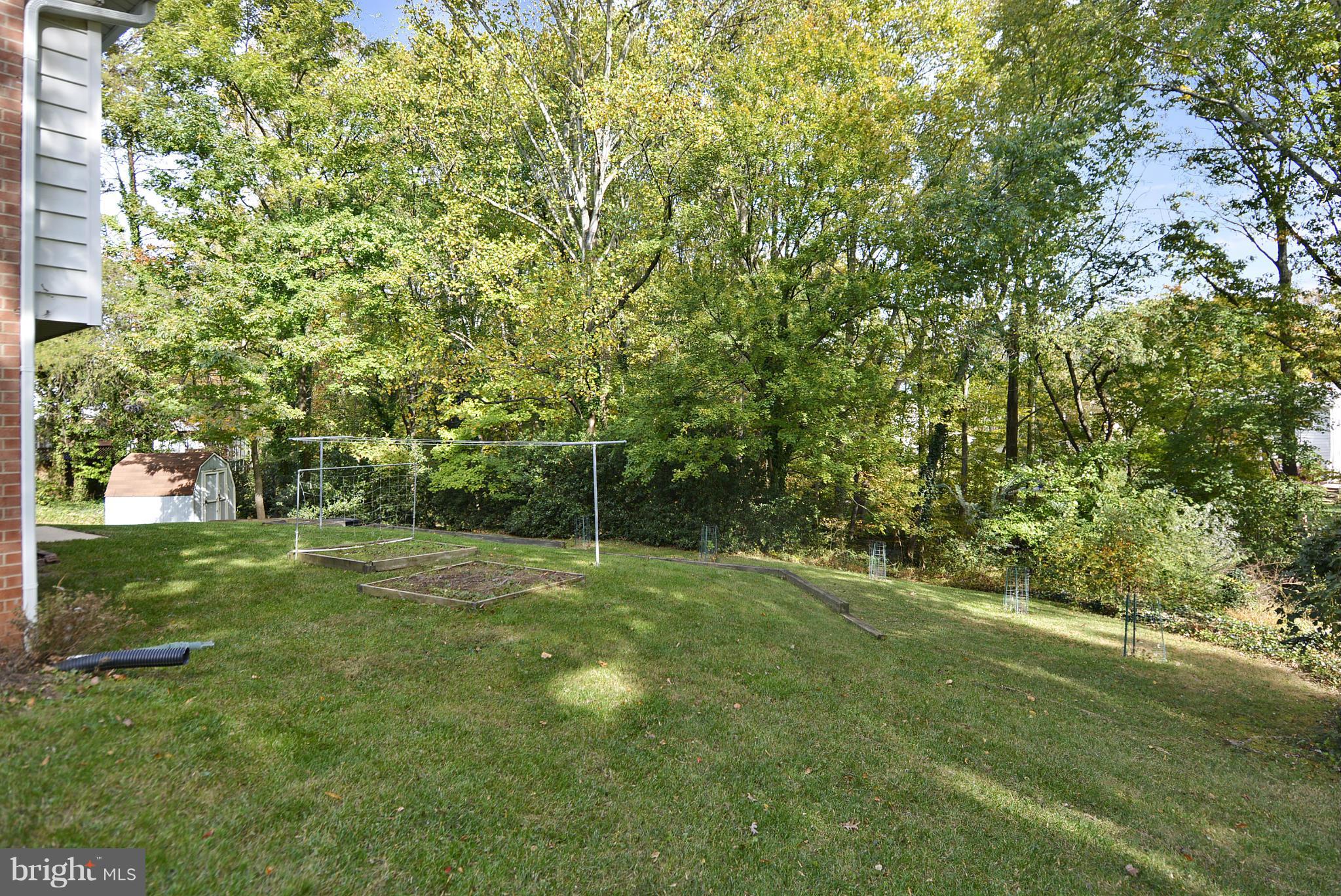 6731 Houndmaster Road Springfield, VA 22152 - Photo 26 of 30 a view of a trees in a yard