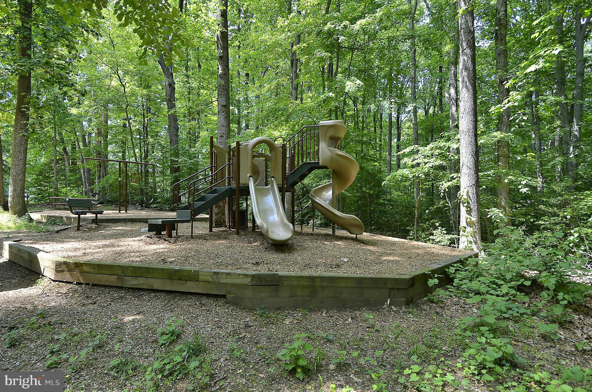 6731 Houndmaster Road Springfield, VA 22152 - Photo 28 of 30 a view of a park with large trees