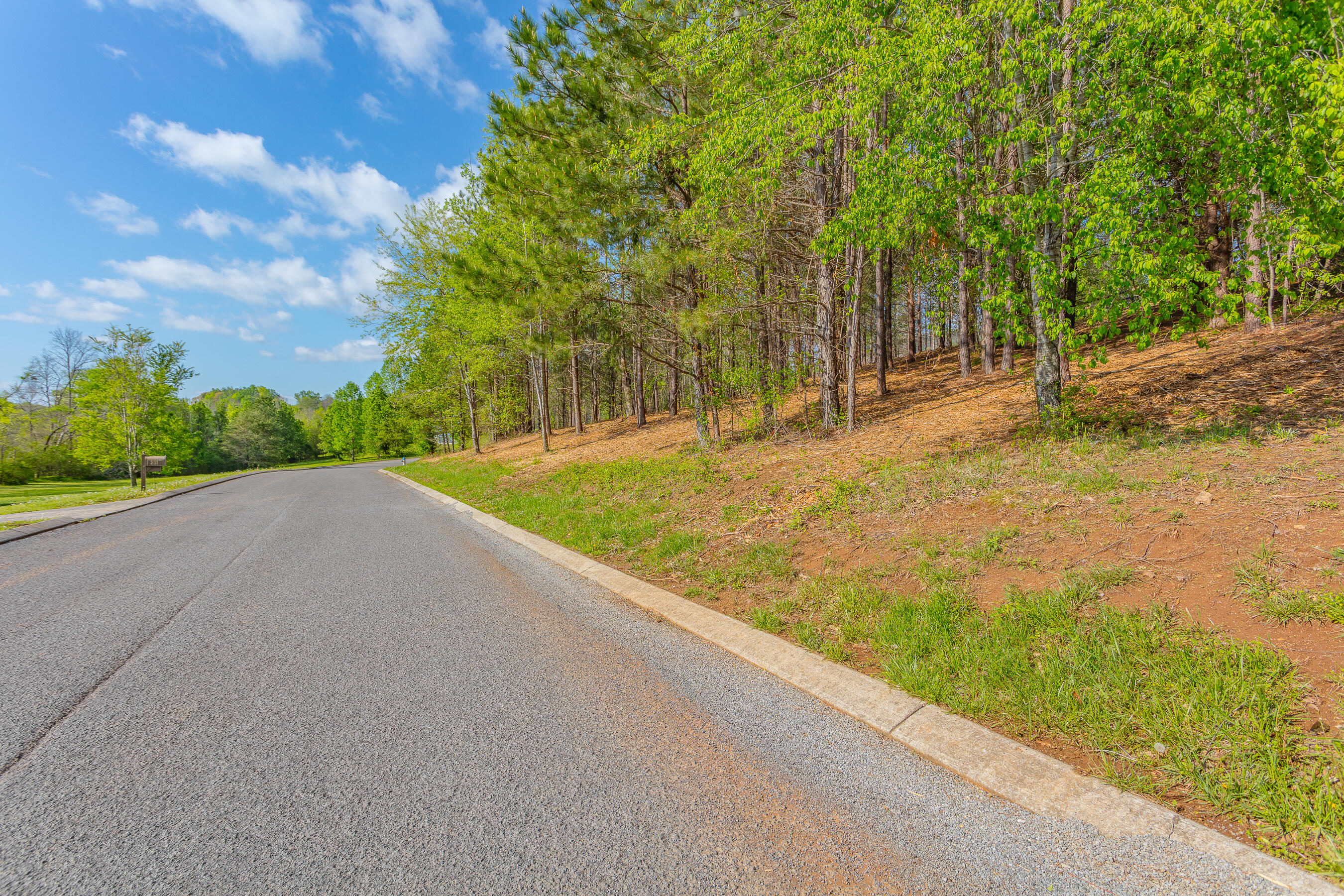 19 Turkey Flintstone, GA 30725 - Photo 2 of 10 19 & 20 Turkey Run HD-1