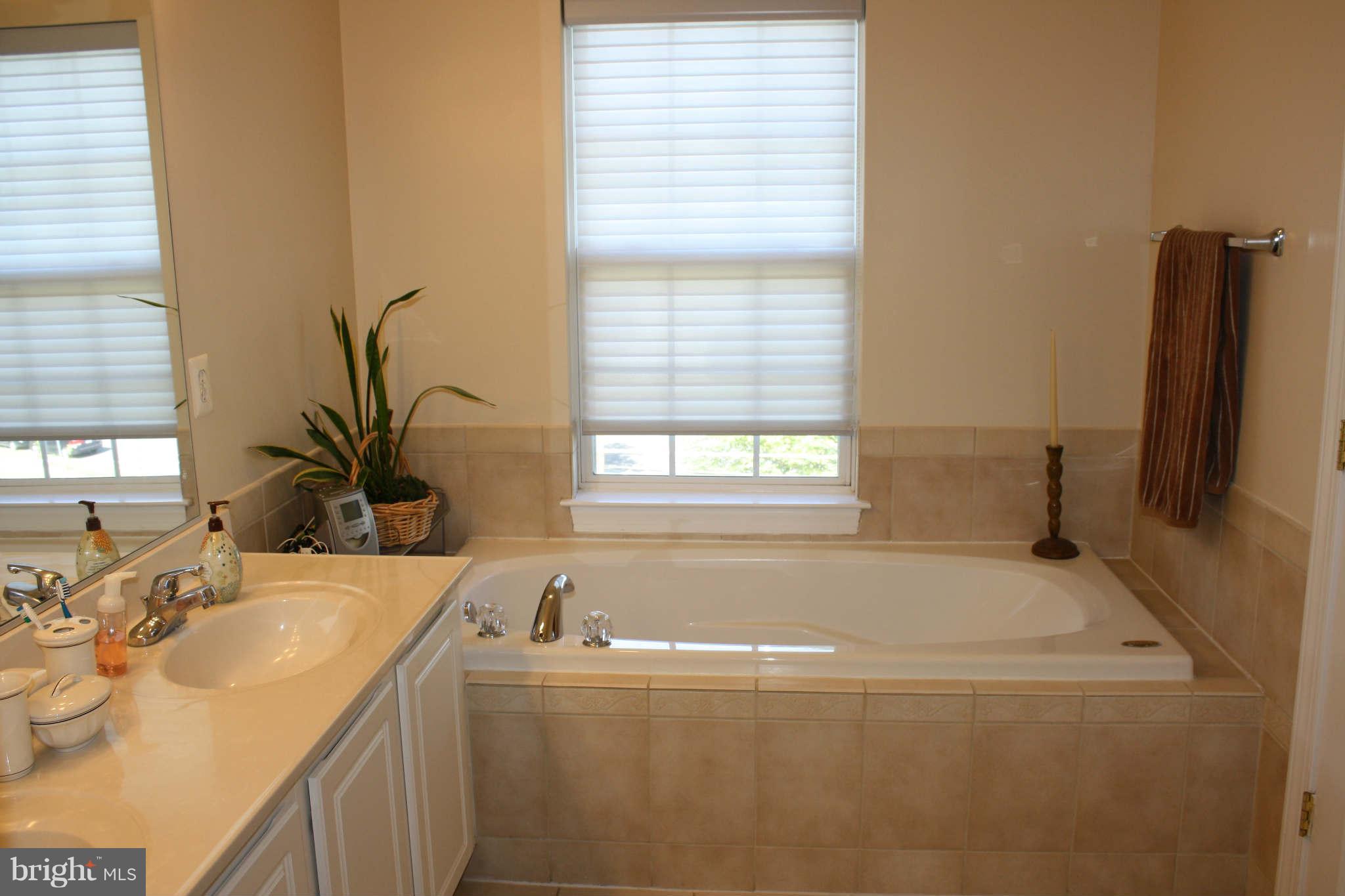 8075 Gatehouse Road, Unit 24 Falls Church, VA 22042 - Photo 18 of 24 a bathroom with a tub sink and mirror