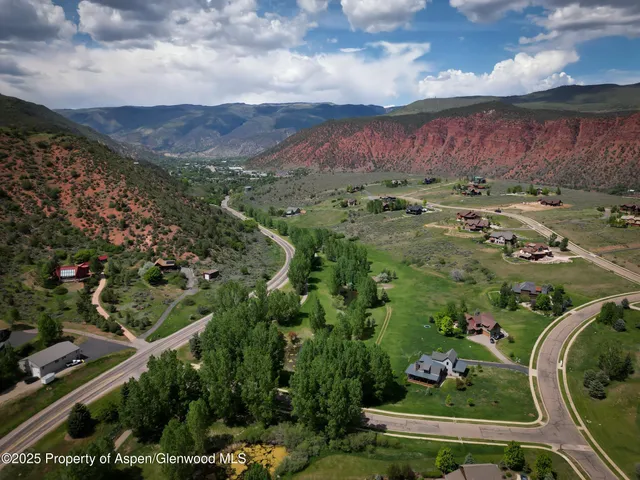 a view of a bunch of trees and flowers