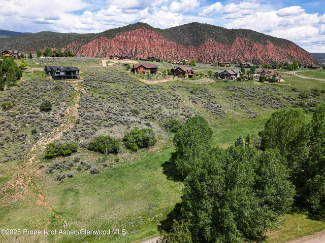 a view of a bunch of trees