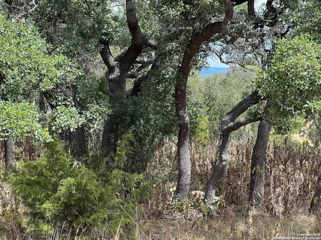 $299,000 | Lot 29 Alberi Lane, Boerne, TX 78006