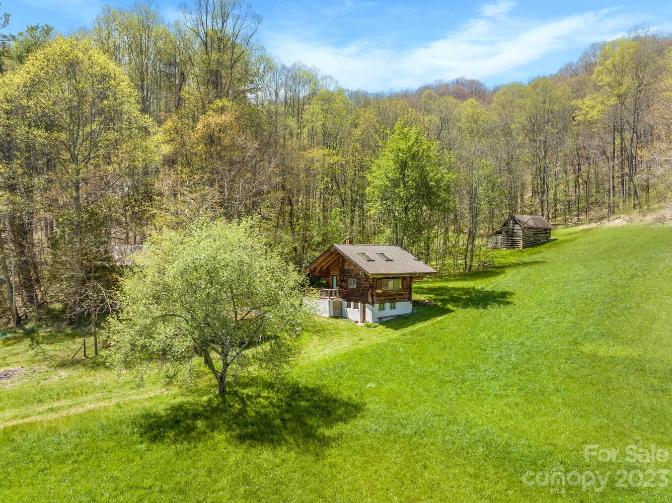 1620 South Fork Road Marshall, NC 28753 - Photo 1 of 41 Gallery Image 1