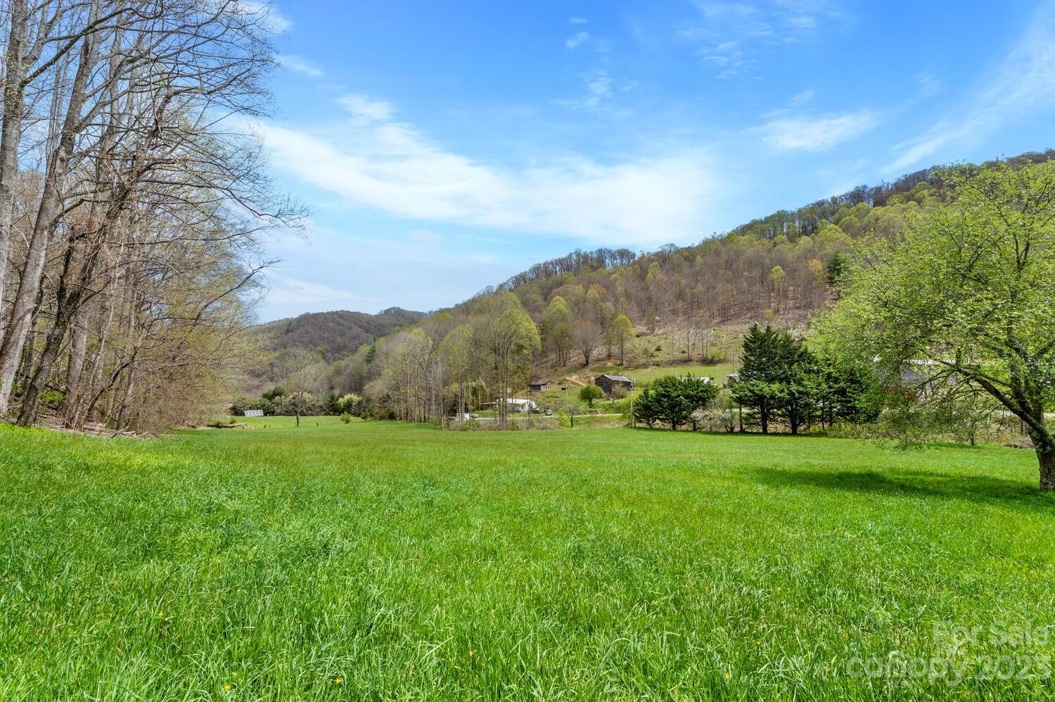 1620 South Fork Road Marshall, NC 28753 - Photo 8 of 41 Gallery Image 8