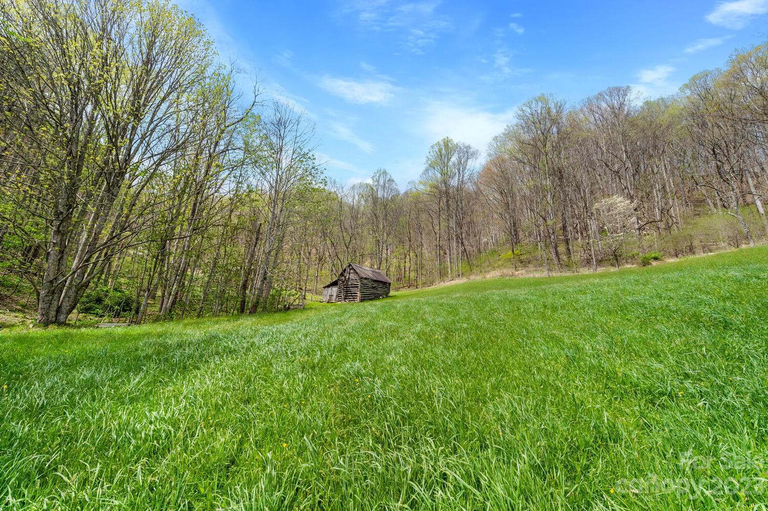 1620 South Fork Road Marshall, NC 28753 - Photo 9 of 41 Gallery Image 9