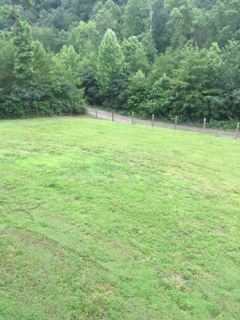 293 Harris Branch Road Madisonville, TN 37354 - Photo 20 of 31 a view of green field with trees in the background