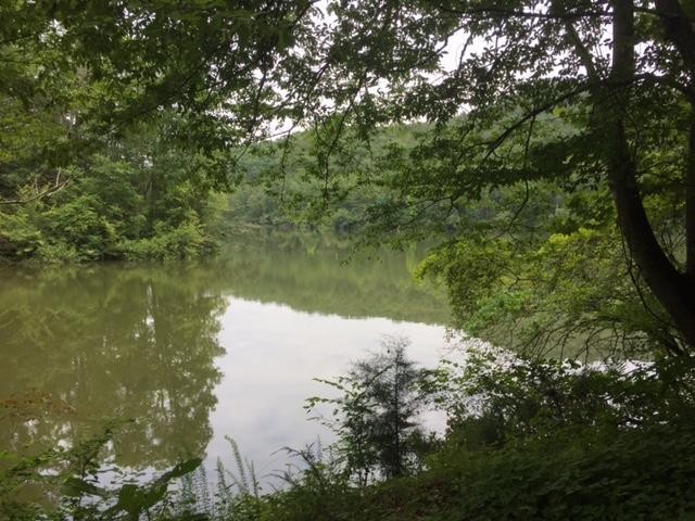 293 Harris Branch Road Madisonville, TN 37354 - Photo 4 of 31 a view of lake
