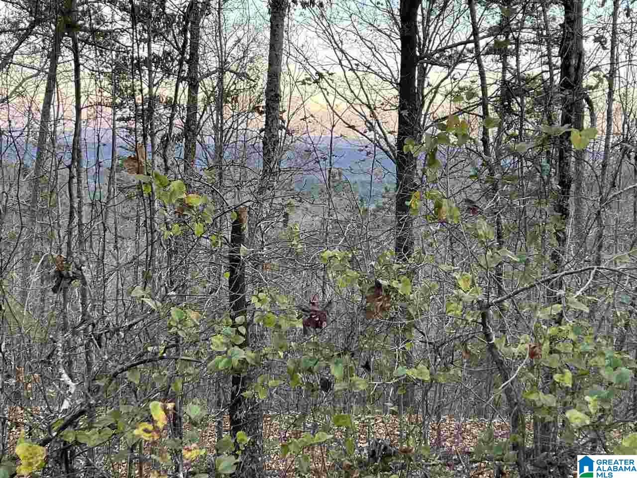 7931 Goodner Mountain Road Trussville, AL 35173 - Photo 11 of 20