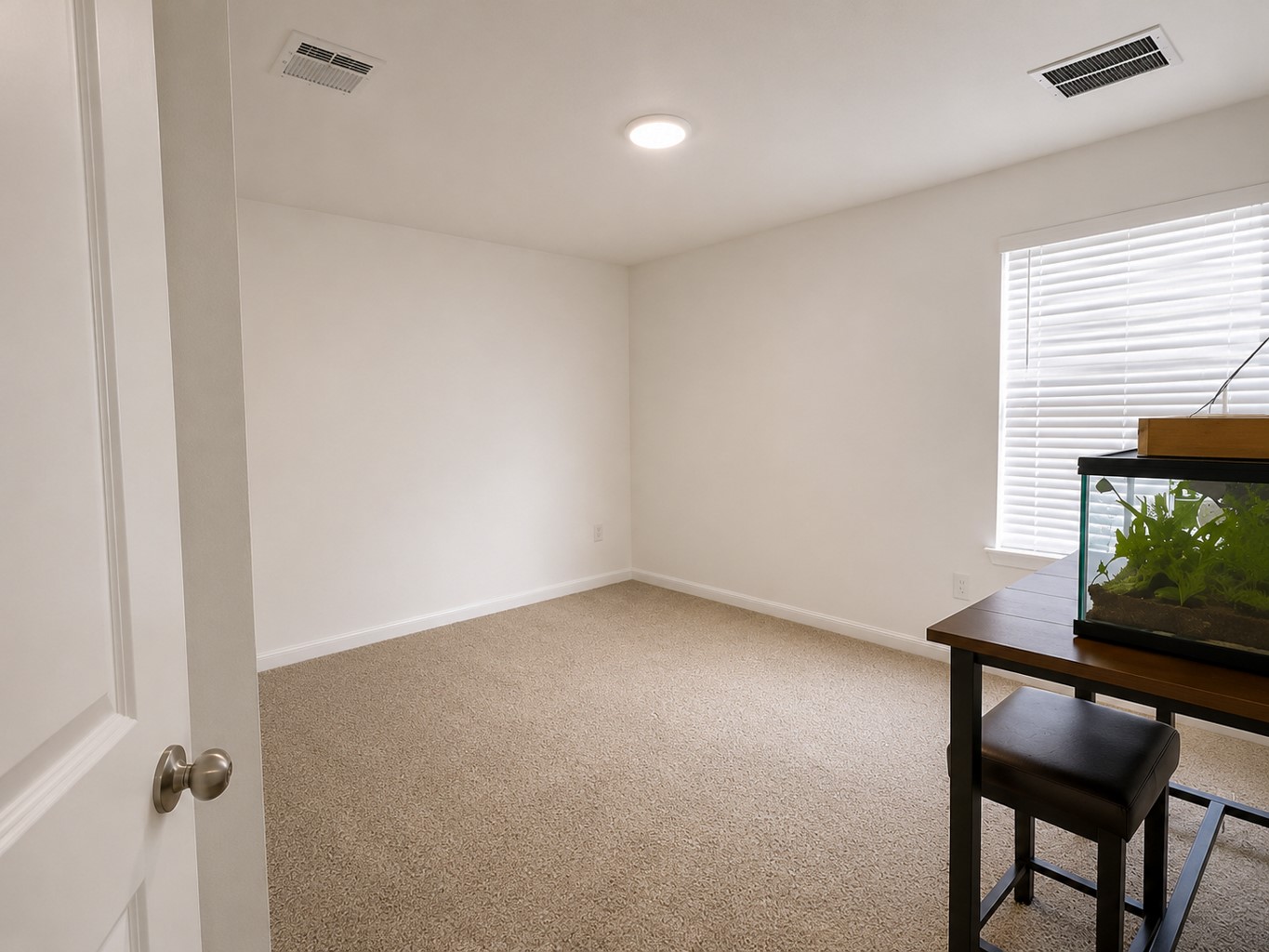 121 Santa Rosa Lane Buda, TX 78610 - Photo 7 of 13 A well-lit room awaits your personal touch, featuring soft carpeting and a bright window.