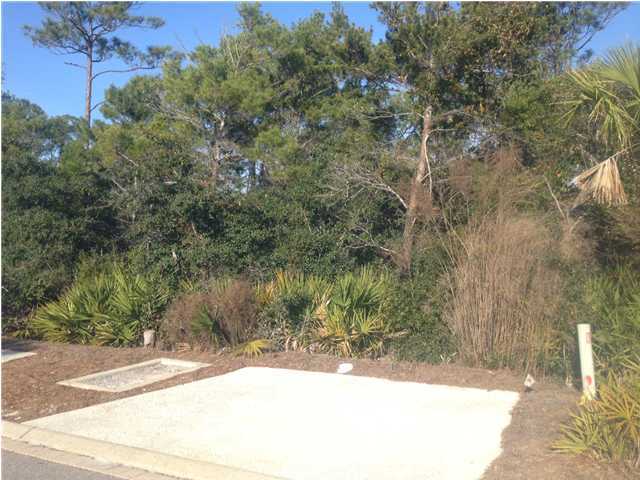 48 Shingle Lane Watersound, FL 32461 - Photo 3 of 9