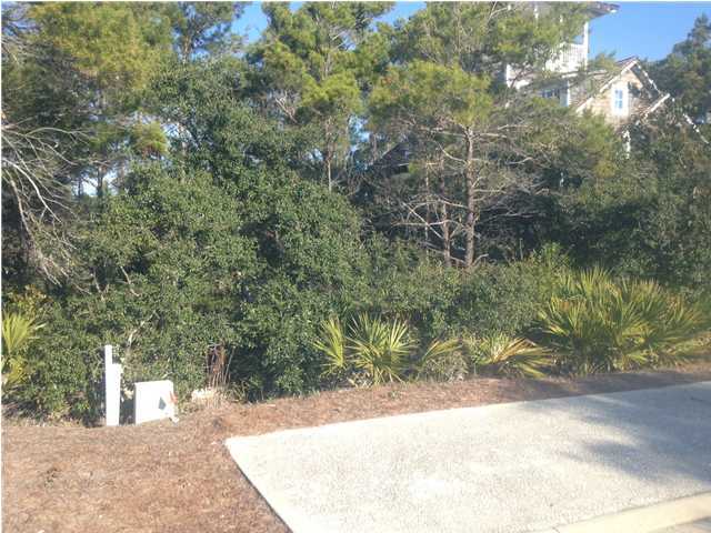 48 Shingle Lane Watersound, FL 32461 - Photo 4 of 9