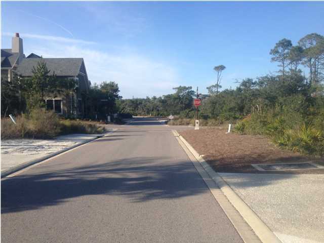 48 Shingle Lane Watersound, FL 32461 - Photo 6 of 9