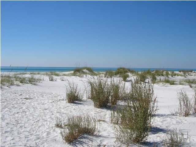 48 Shingle Lane Watersound, FL 32461 - Photo 8 of 9