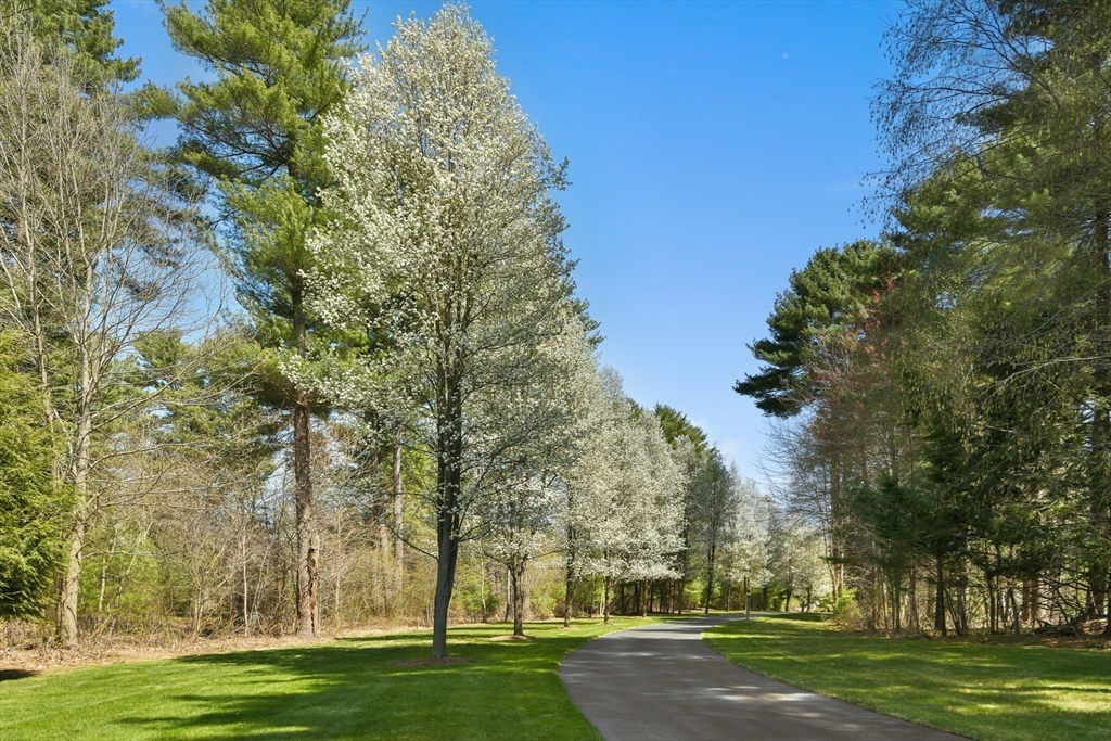 59 Anderson Farm Road Hanover, MA 02339 - Photo 2 of 38 a big yard with trees