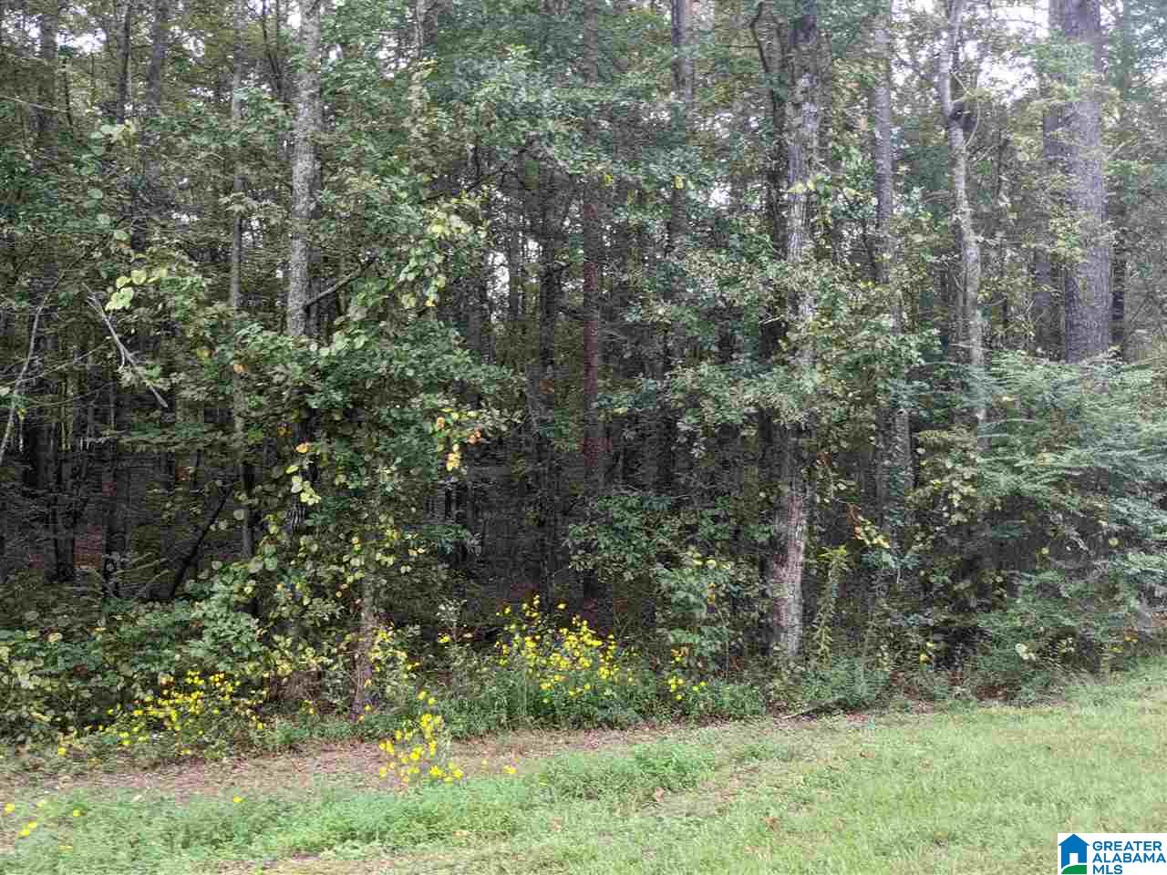 0 Smith Avenue, Unit 3 2 Anniston, AL 36207 - Photo 17 of 43