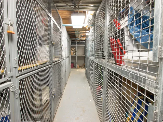 $2,350 | 225 West Huron Street, Unit 619, Chicago, IL 60654