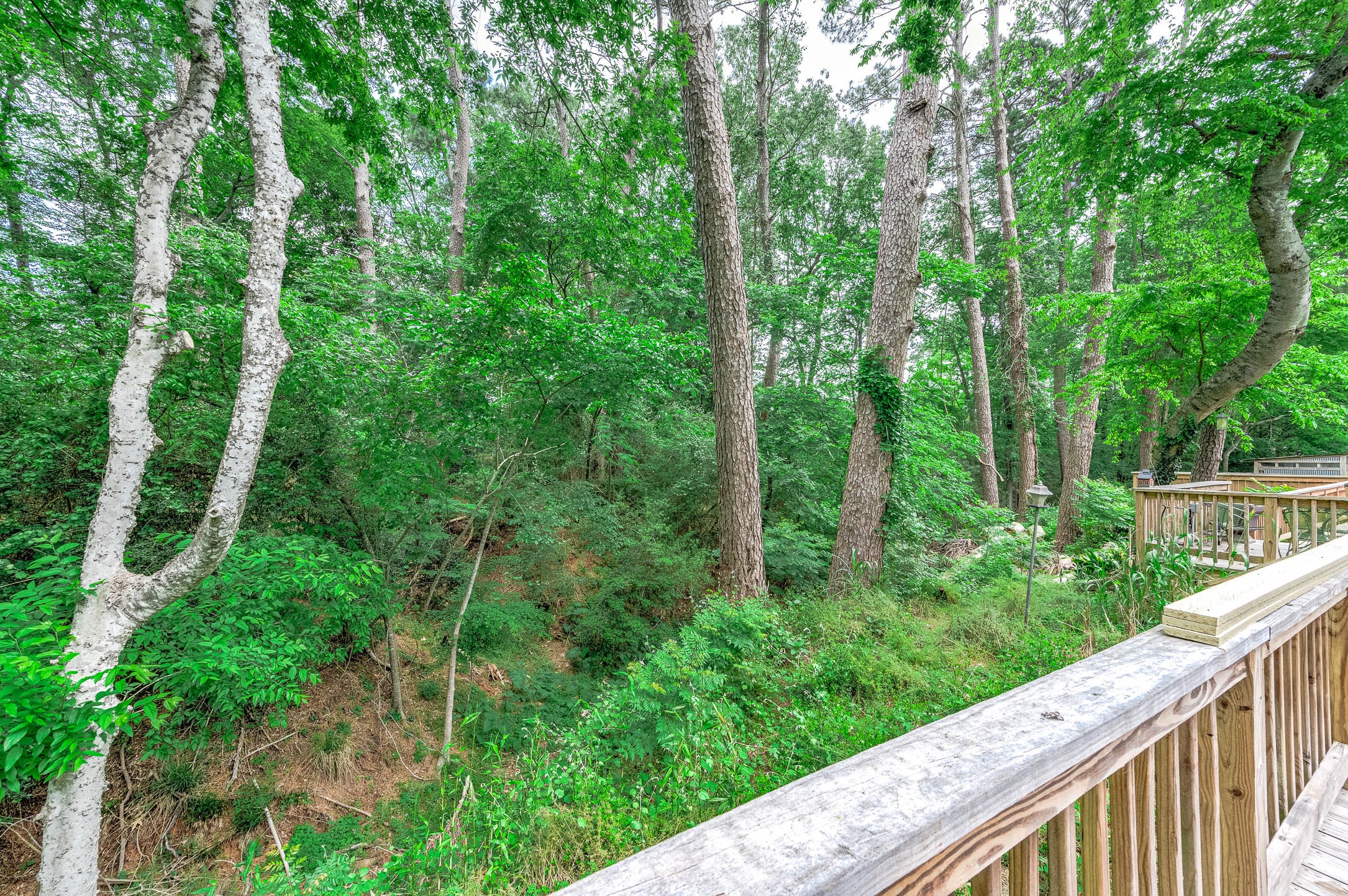 100 Magnolia Place Coldspring, TX 77331 - Photo 47 of 50 a view of a forest with trees in the background