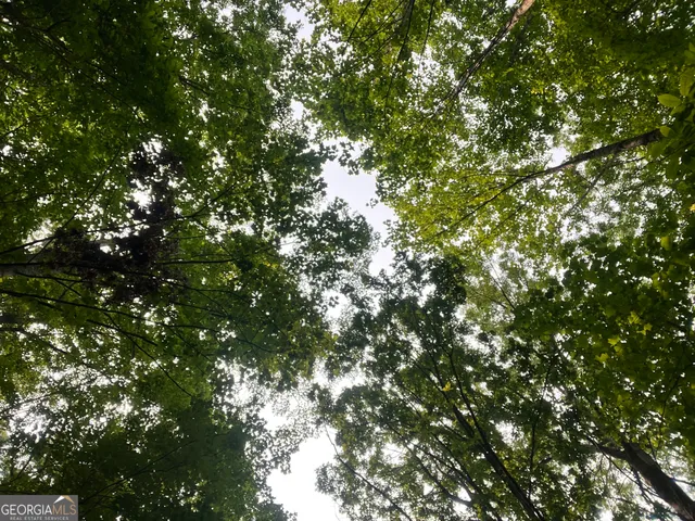 $79,000 | 0 Sheep Cliff Way, Sky Valley, GA 30537