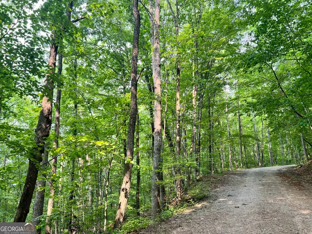 $79,000 | 0 Sheep Cliff Way, Sky Valley, GA 30537