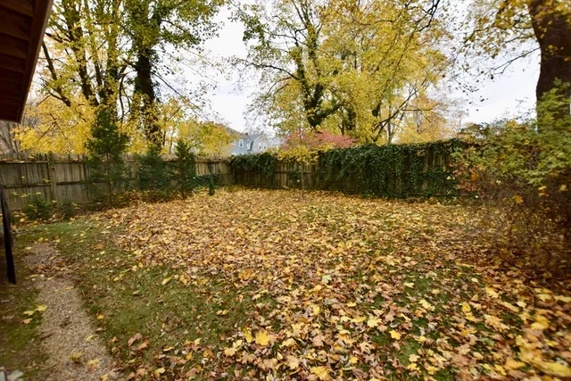 a view of lake with tree
