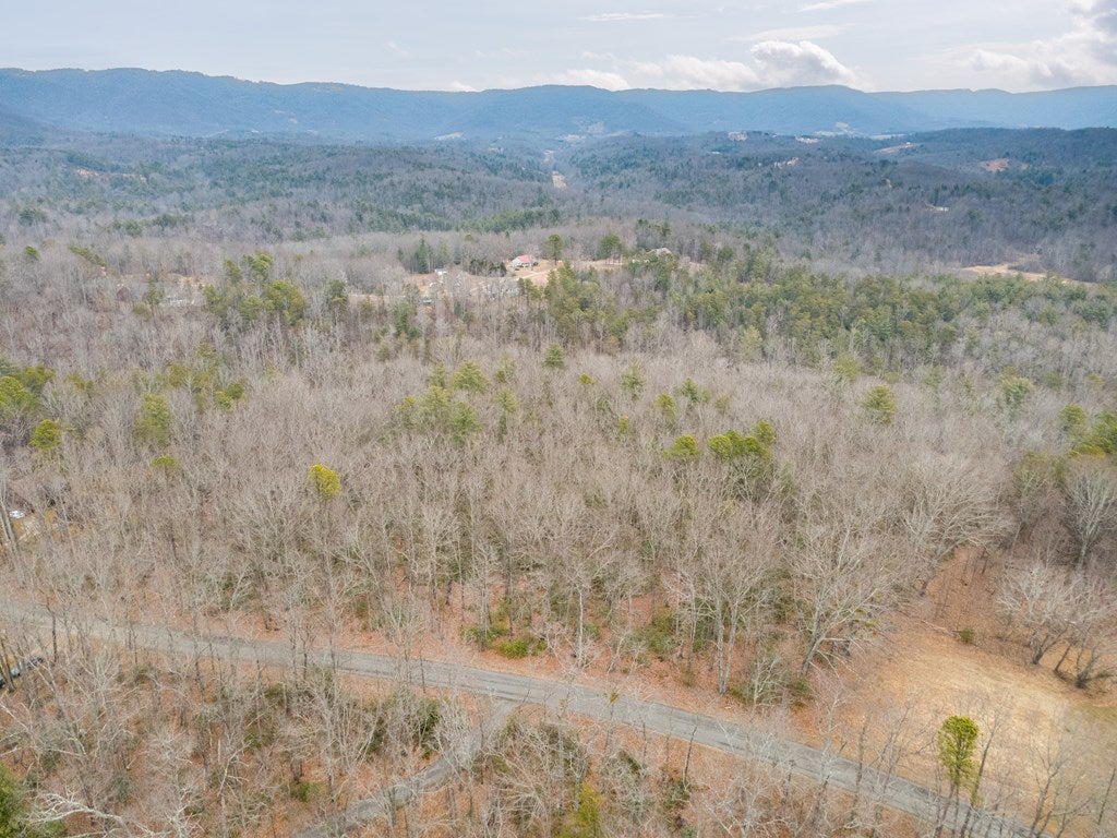 Tbd Meadowbrook Road, Unit 15481 Cana, VA 24317 - Photo 9 of 24 Gallery Image 9