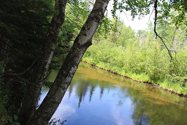 West Pine Point Road Grayling, MI 49738 - Photo 3 of 5 Gallery Image 3