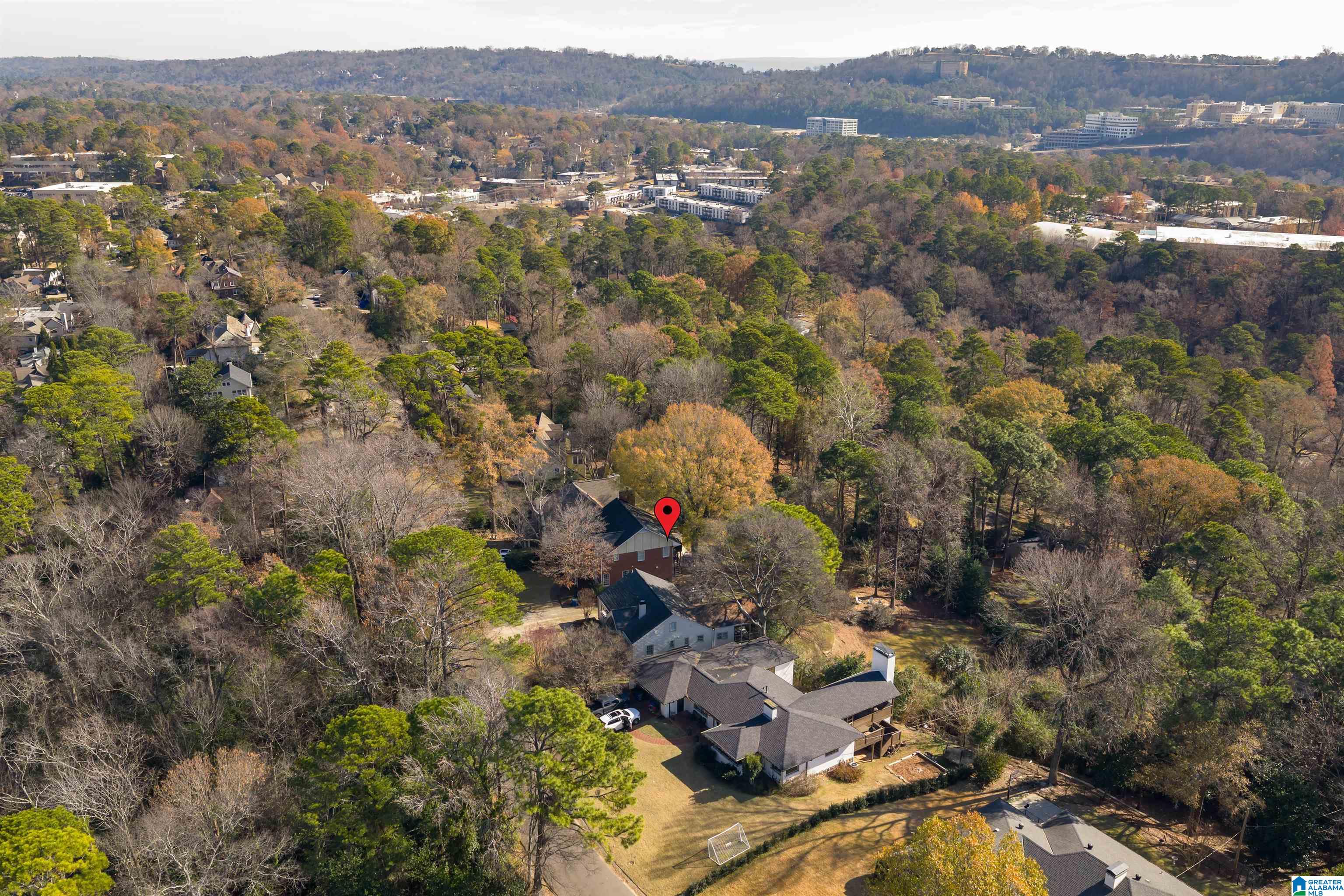 1745 Wellington Road Birmingham, AL 35209 - Photo 56 of 62