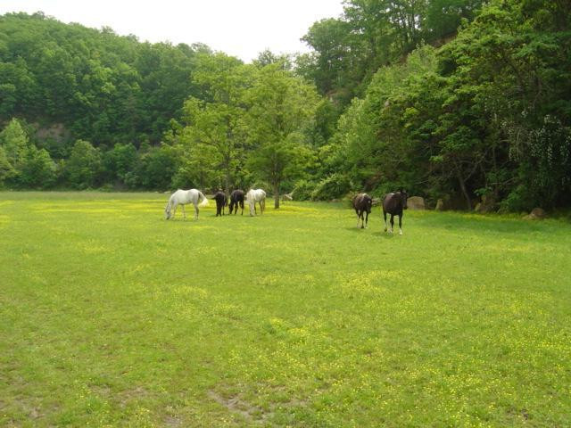 9999 Old Corbin Road London, KY 40744 - Photo 25 of 53 Photo 25