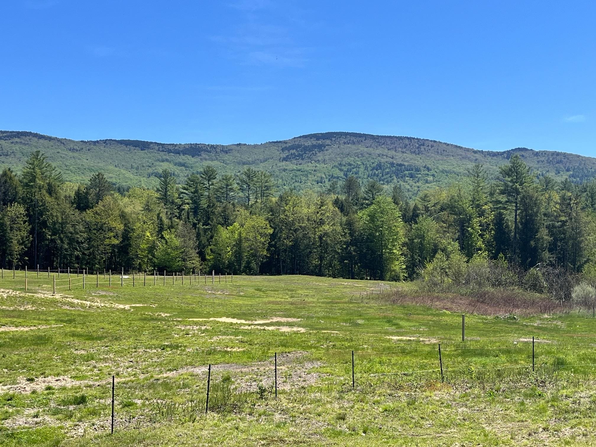 139 Turner Road Wentworth, NH 03282 - Photo 15 of 44