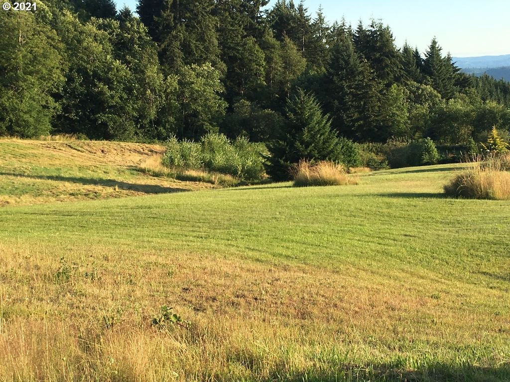 207 Cokesbury Road Kalama, WA 98625 - Photo 8 of 8 Gallery Image 8