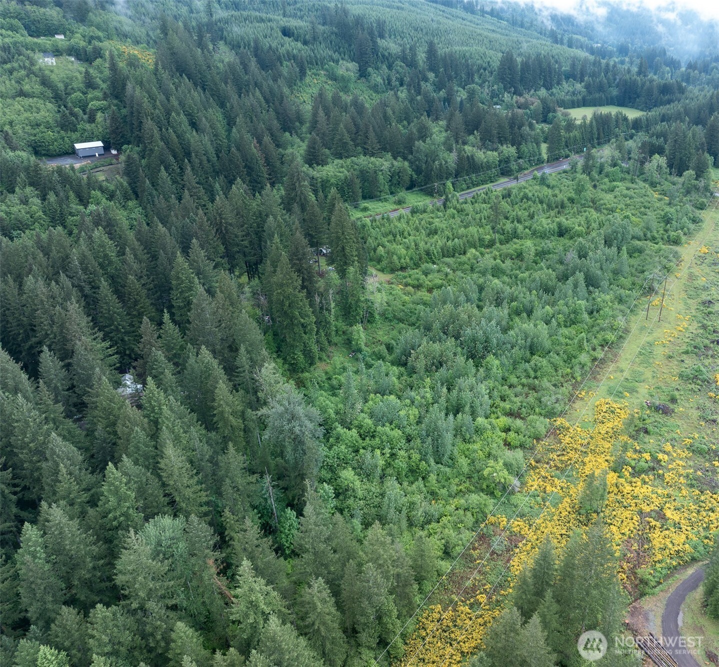 12155 Lewis River Road Ariel, WA 98603 - Photo 13 of 23