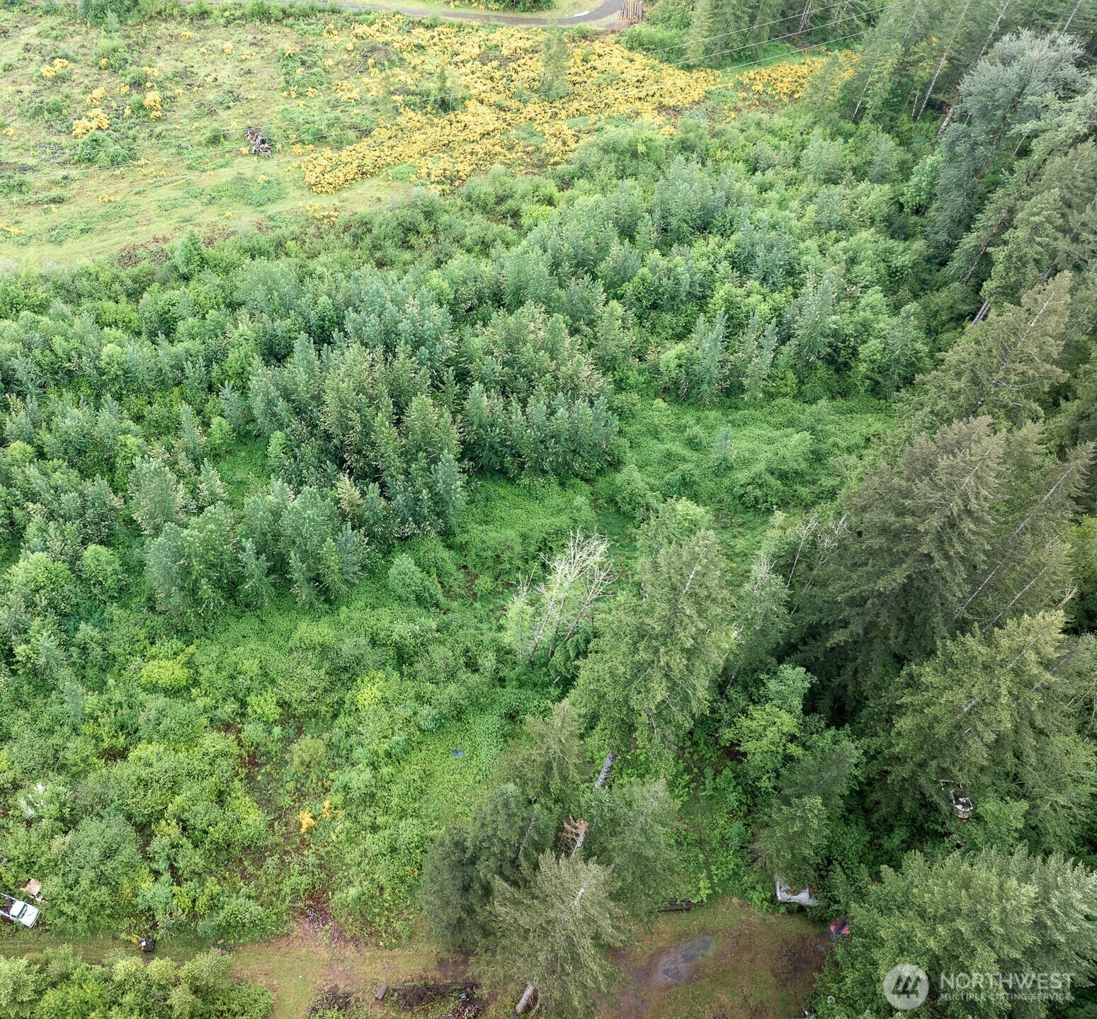 12155 Lewis River Road Ariel, WA 98603 - Photo 16 of 23