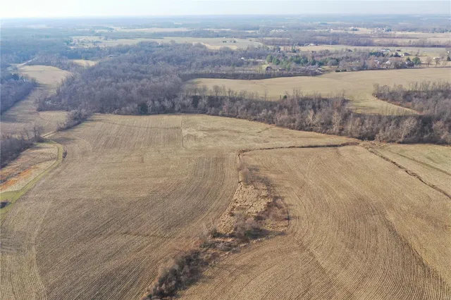 $100 | 0 Levy Lane, Millstadt, IL 62260