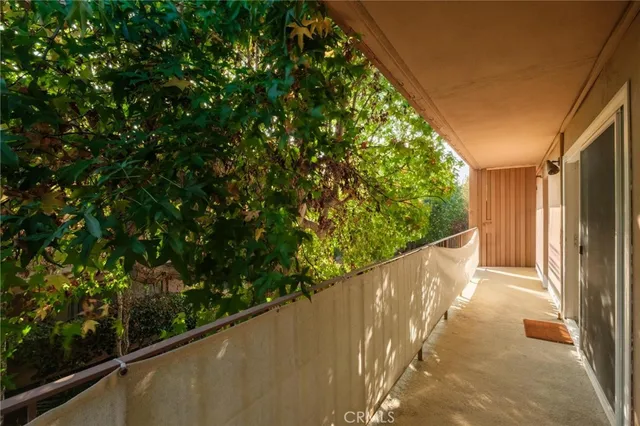 a view of a backyard with plants and large trees
