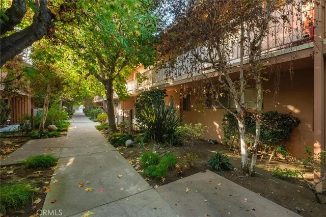 a view of a garden with plants and large trees