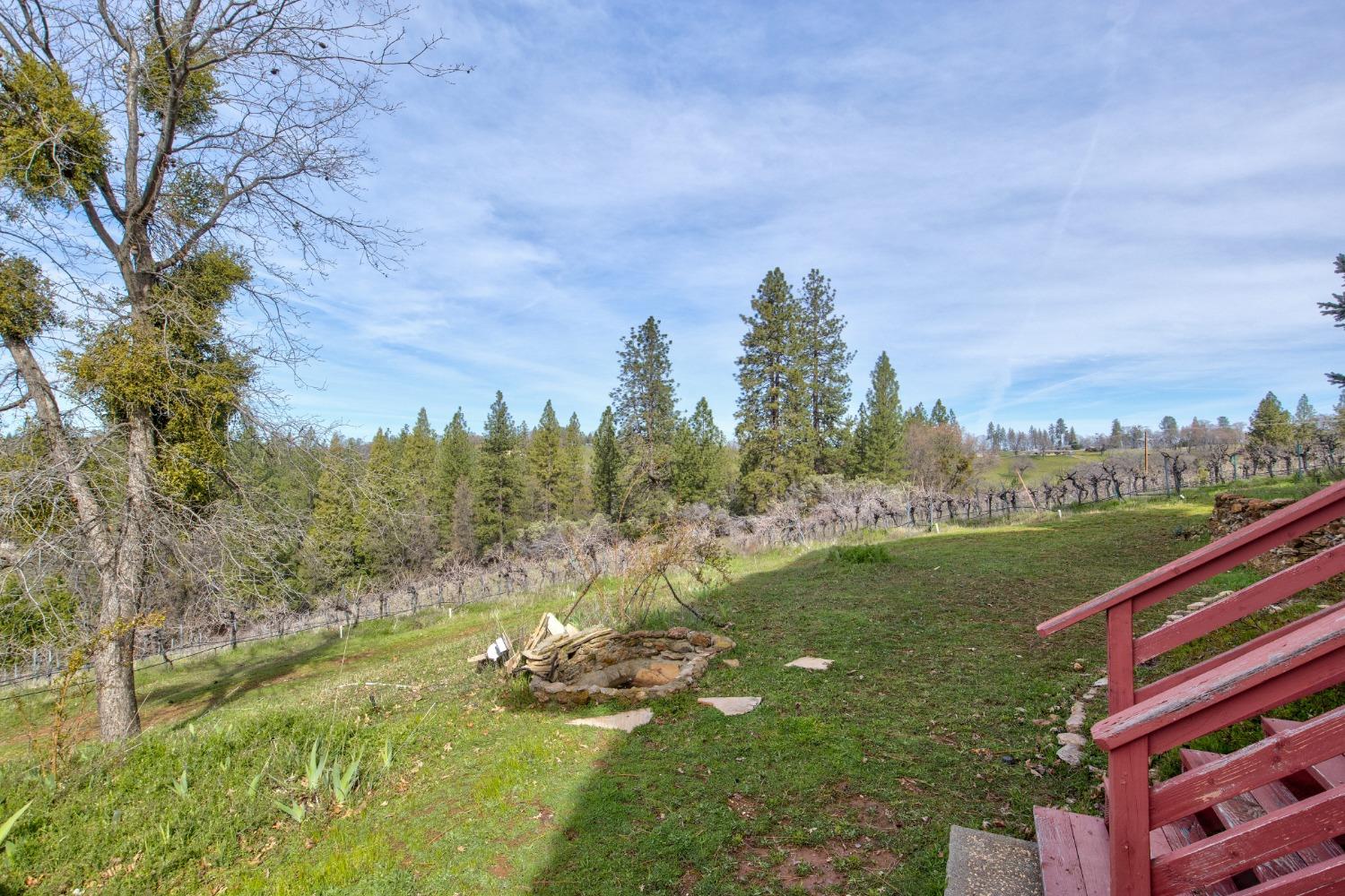 4771 Greenhills Road Placerville, CA 95667 - Photo 37 of 71 a view of a city with lush green forest