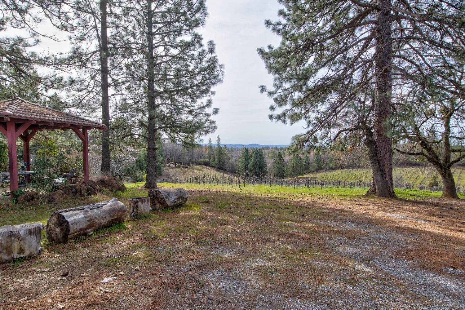 4771 Greenhills Road Placerville, CA 95667 - Photo 38 of 71